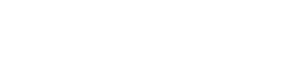 TRAFERTIR GROUP